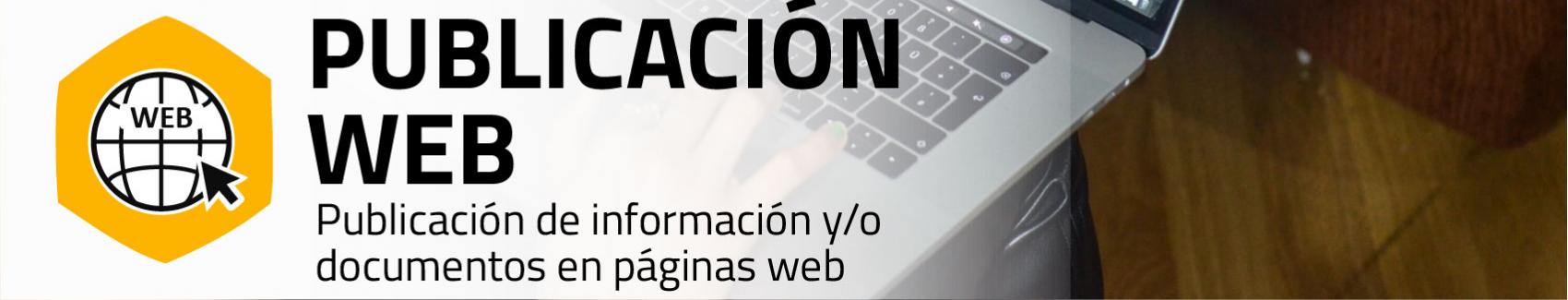 Imagen servicio Publicación web