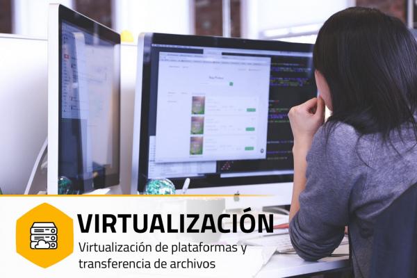 Imagen del servicio Virtualización